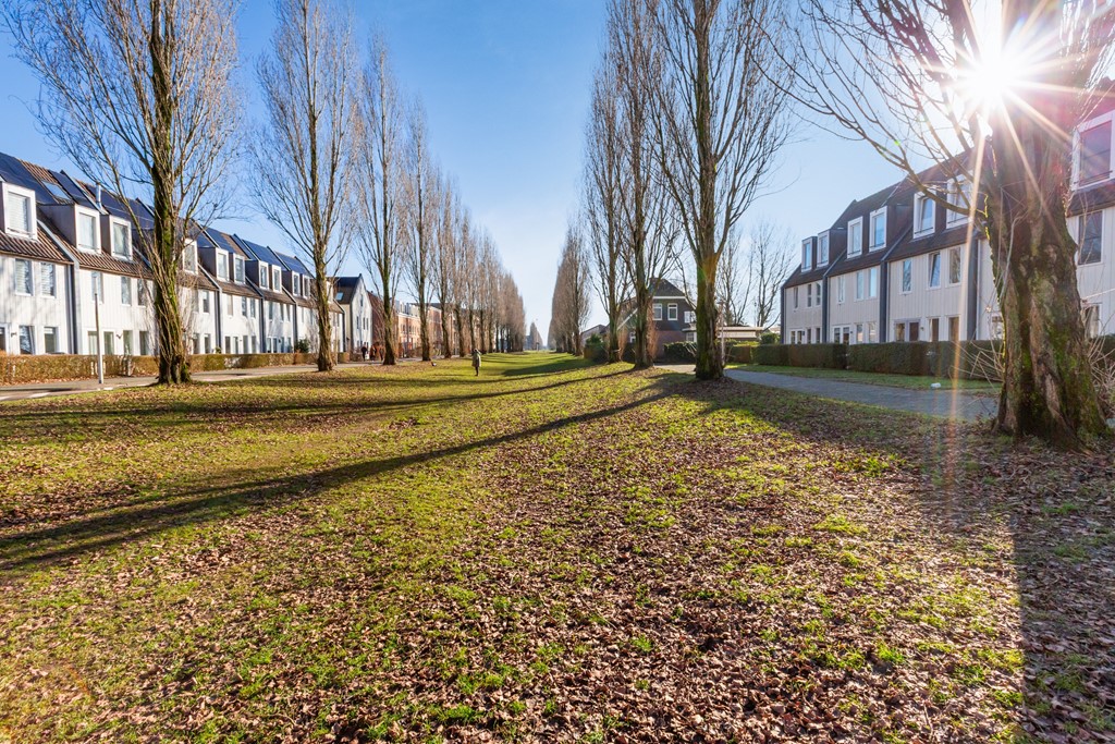 43. Agaatvlindersingel 10_47.jpg